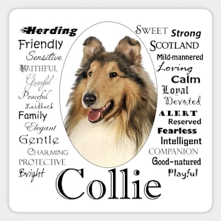 Collie Traits Magnet